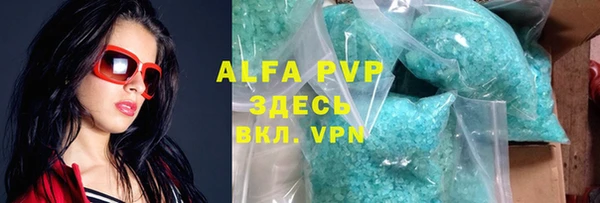 гашик Алексин
