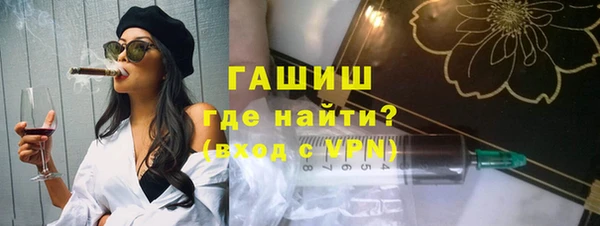 гашик Алексин