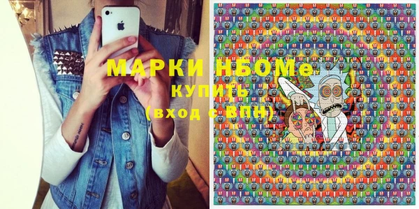 гашик Алексин