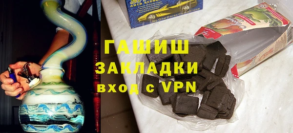 гашик Алексин