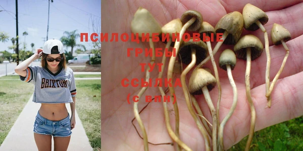 MESCALINE Алзамай