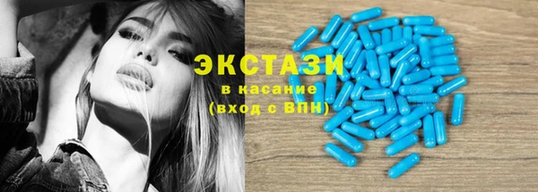 гашик Алексин