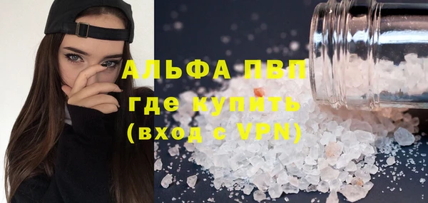 гашик Алексин