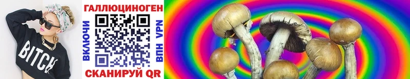 Псилоцибиновые грибы Magic Shrooms KRAKEN ссылки Королёв